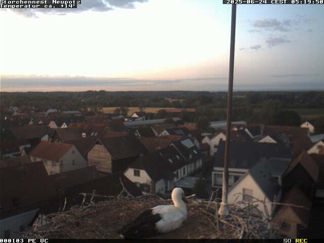 Camera Live Image