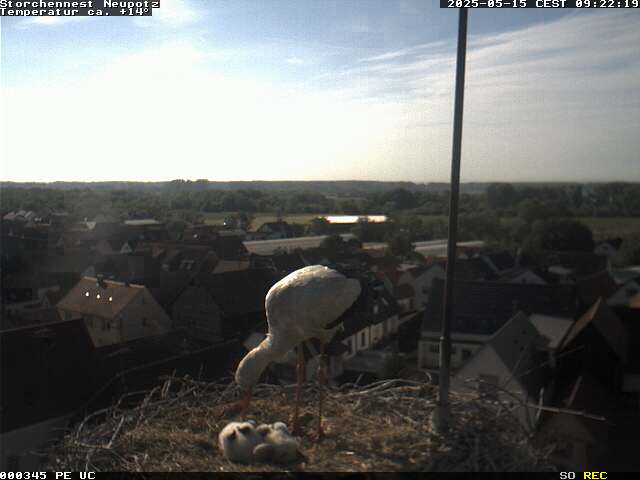 Camera Live Image
